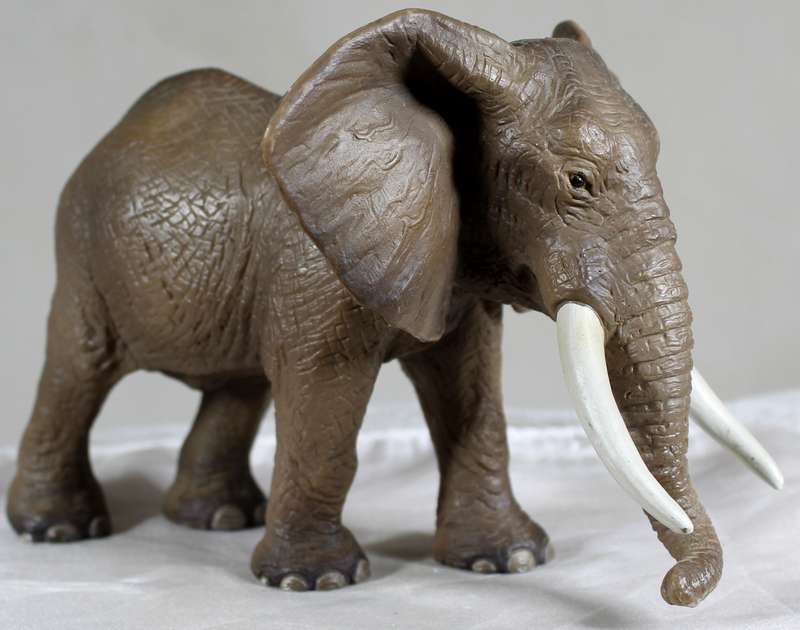 Elephant Schleigh - Germany