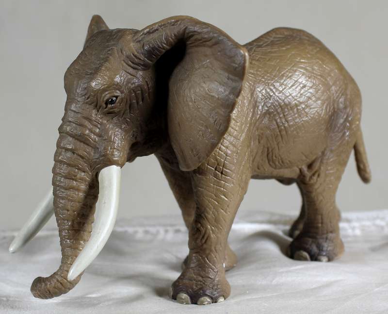 Elephant Schleigh - Germany