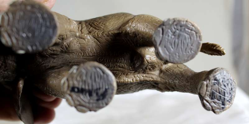Elephant Schleigh - Germany