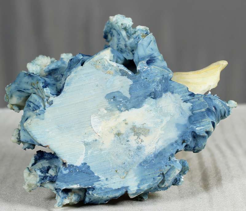 Mermaid figurine on a shell
