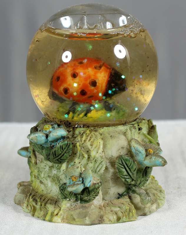 Ladybug in a bubble