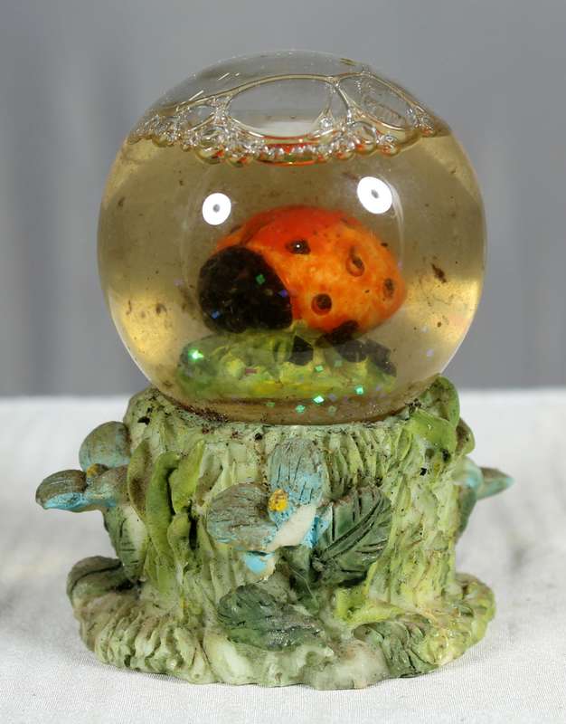 Ladybug in a bubble