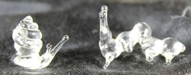 Miniature snail and worm