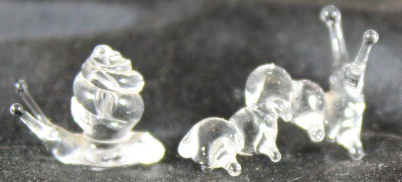 Miniature snail and worm