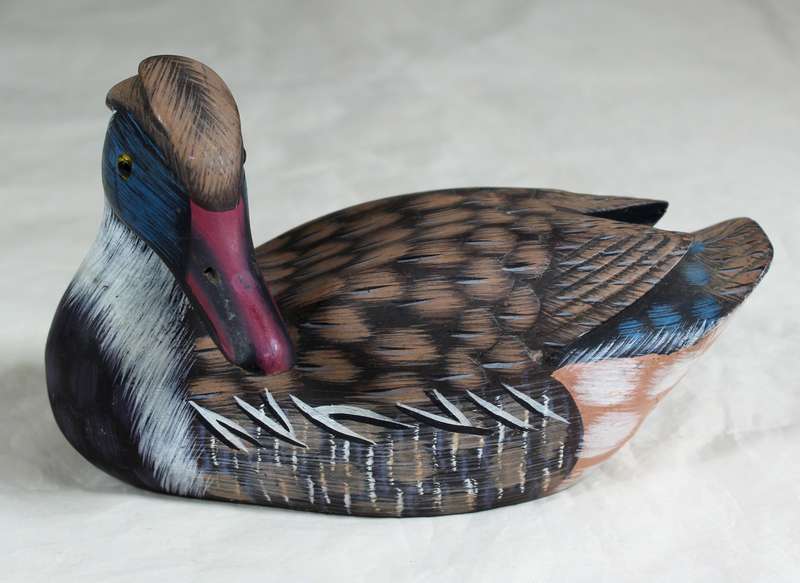 Molded duck
