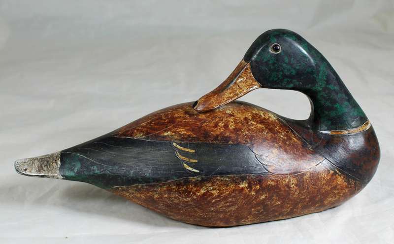 Molded grooming duck