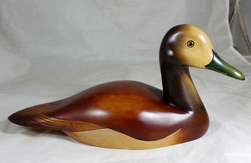Feathers Gallery - limited edition - Whistling duck (nonnetjie eend)