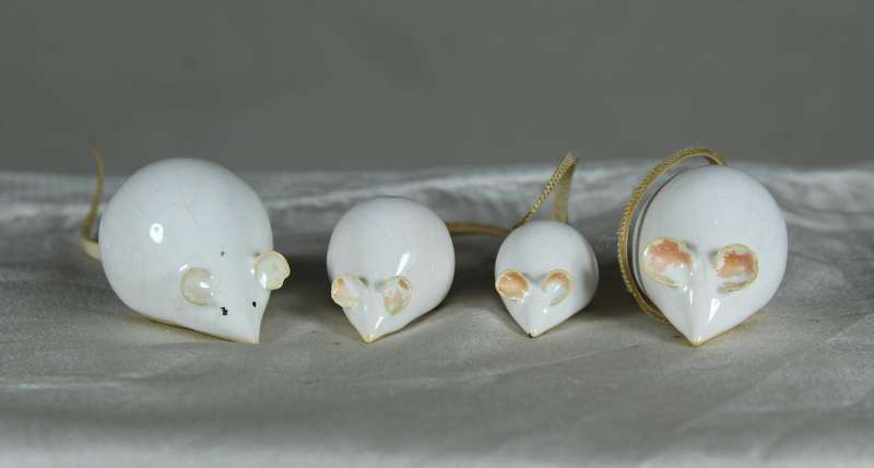 Miniature family of mice with leather tails