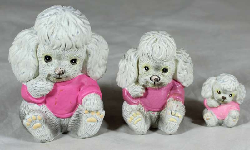 Trio of poodle puppies