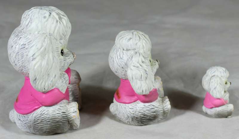 Trio of poodle puppies