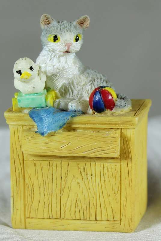 Cat and bird sitting on a box