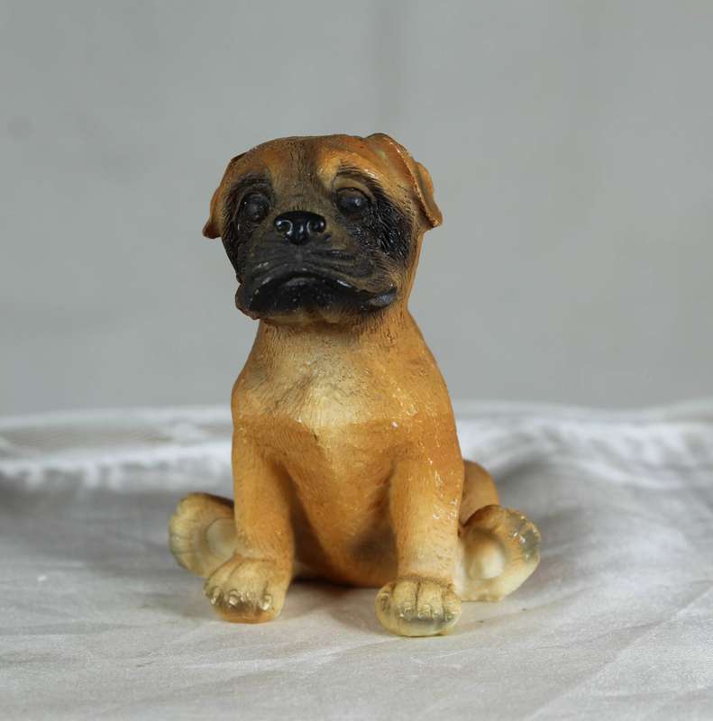 Small Boxer puppy