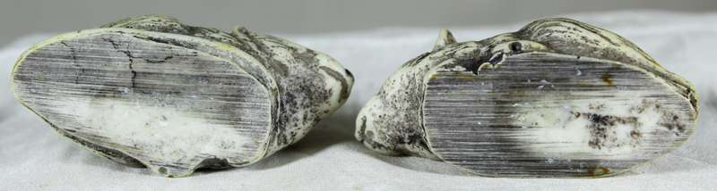 Pair of molded mice