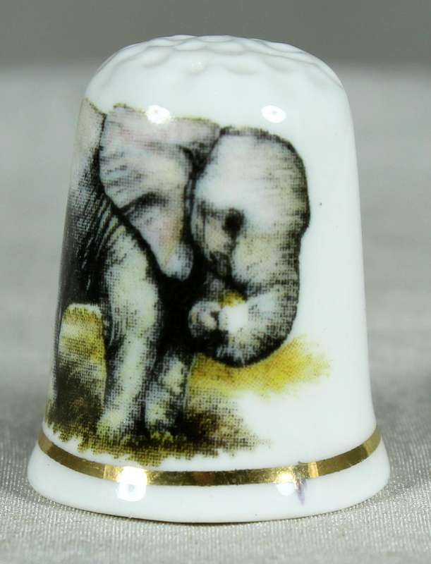 Bone China thimble - Colchester zoo - Elephant