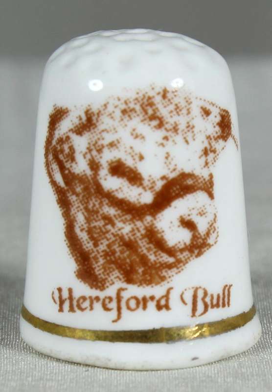 Bone China thimble - Hereford bull