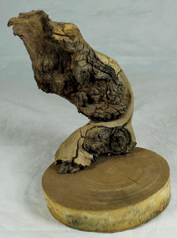 Small driftwood on a stand