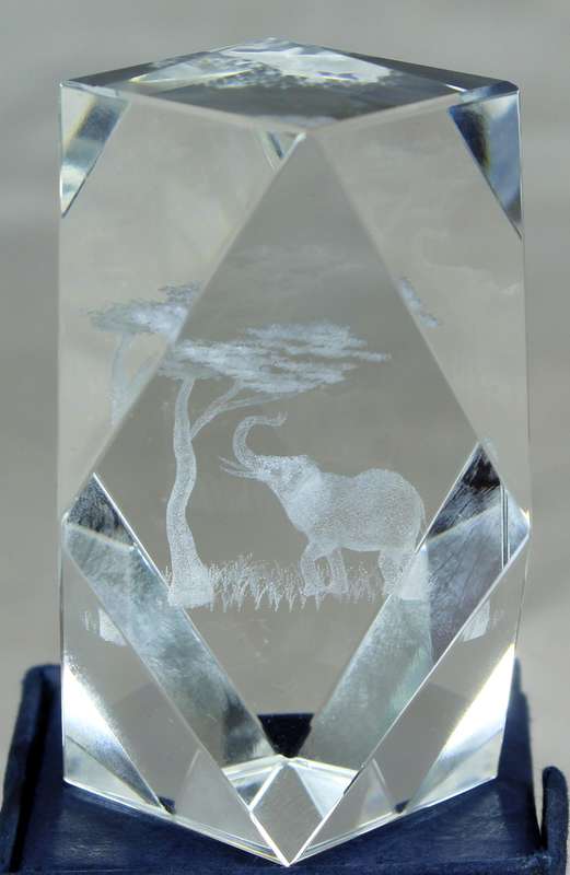 Laser etched paperweight with elephant and tree