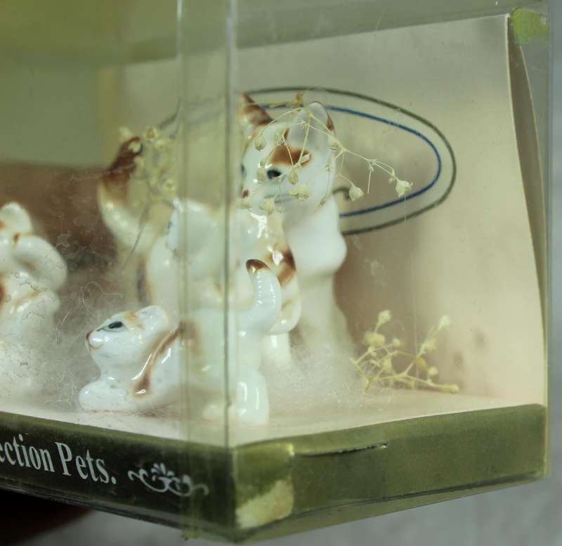 Mini Collection Pets - Cat family
