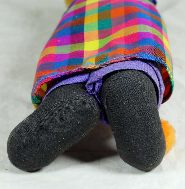 Smiling clown in multi color jacket