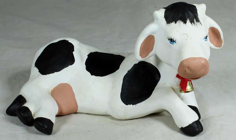 Smiling cow laying down