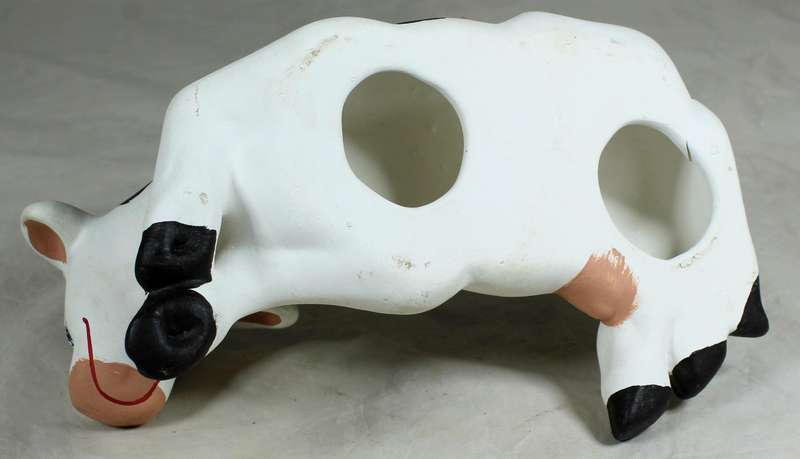 Smiling cow laying down