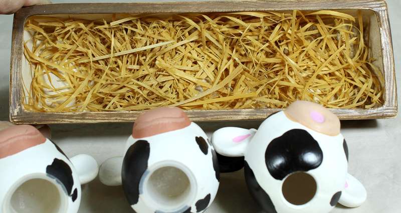 Cow head salt & pepper shakers in a trough