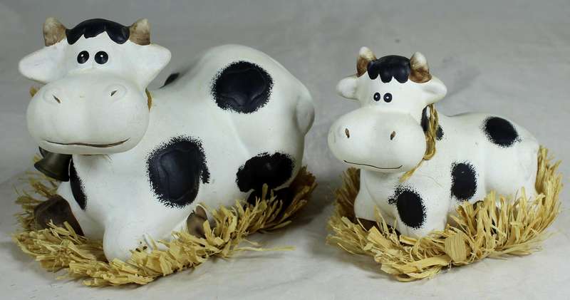 Pair of cows laying on grass