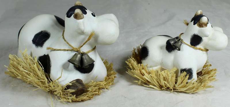 Pair of cows laying on grass