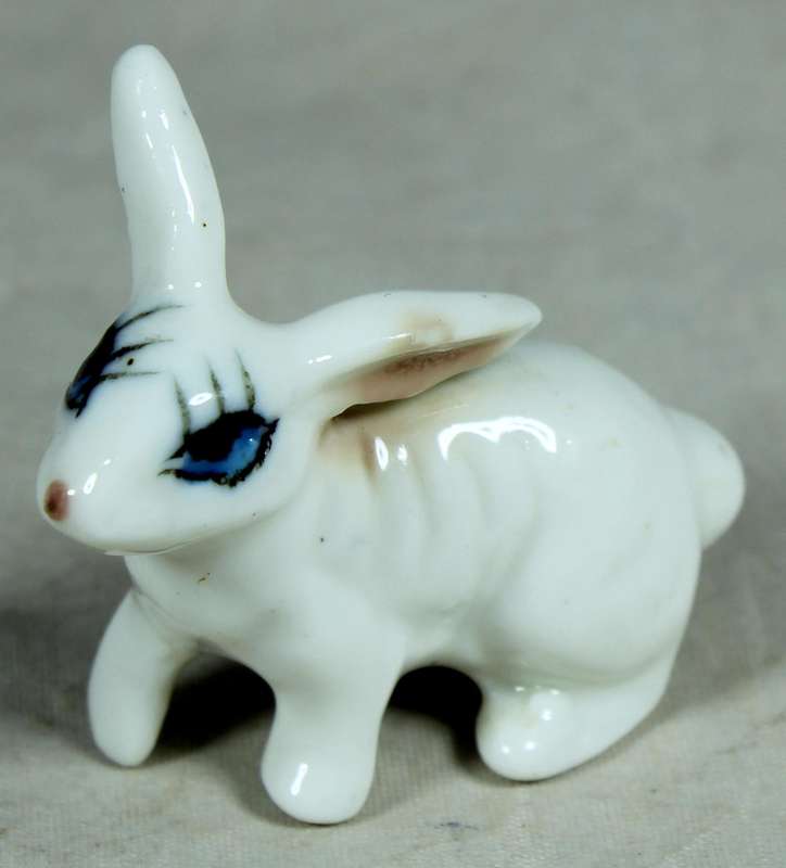 Miniature white rabbit with large eyes