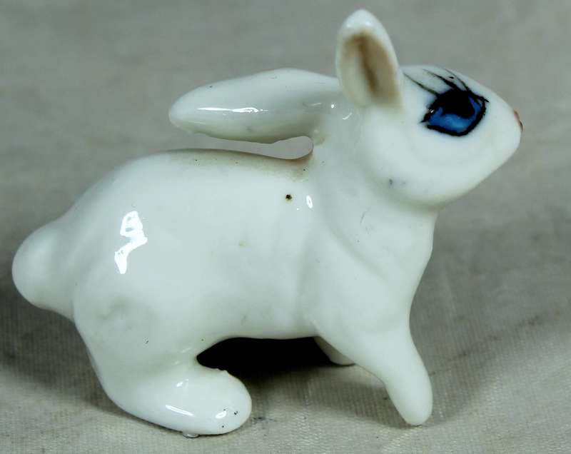 Miniature white rabbit with large eyes