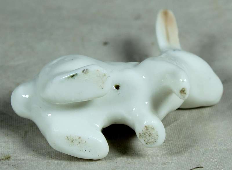 Miniature white rabbit with large eyes