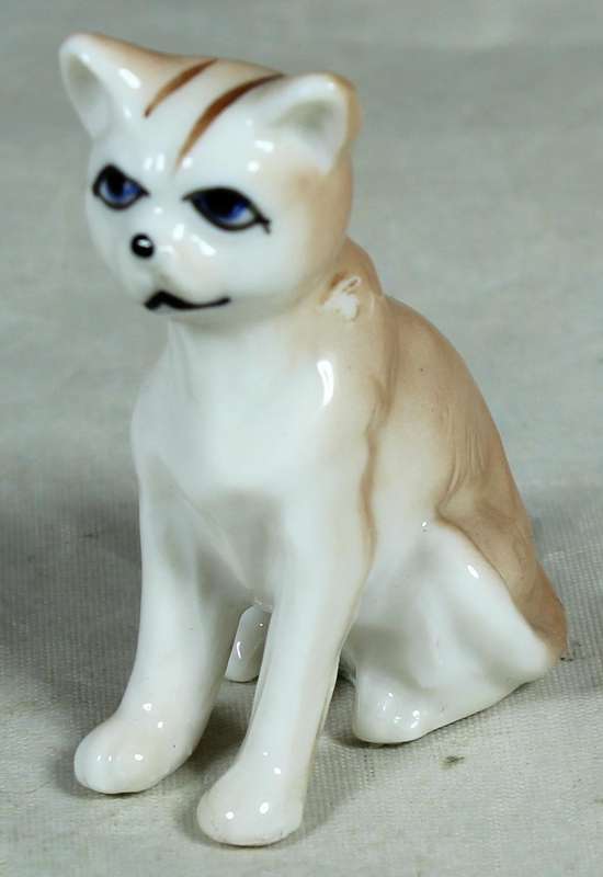 Miniature cat seated