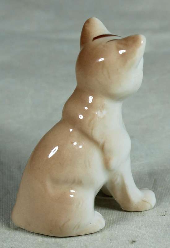 Miniature cat seated