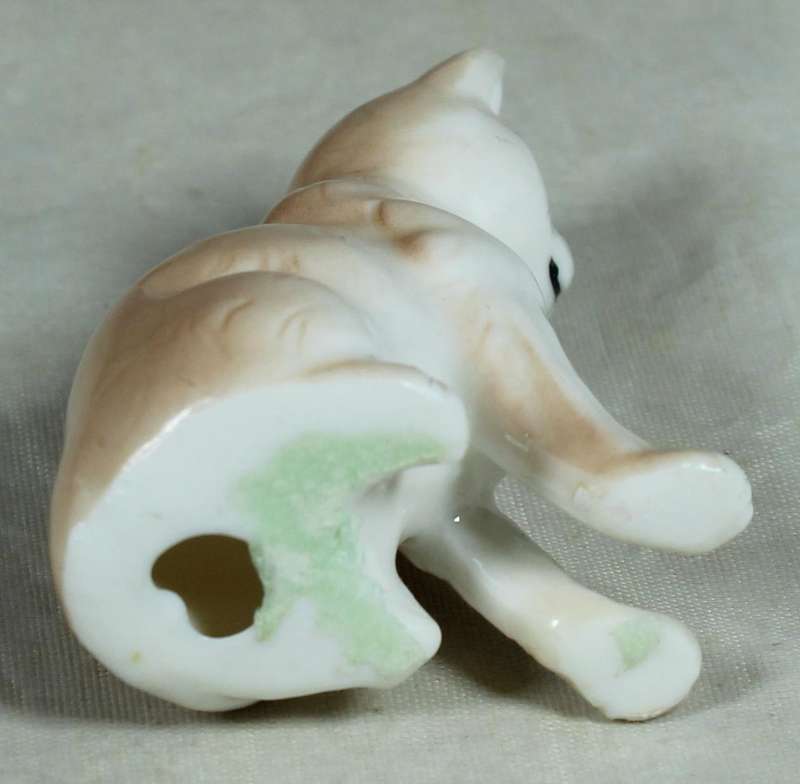 Miniature cat seated