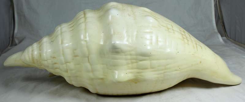 Very large ceramic shell