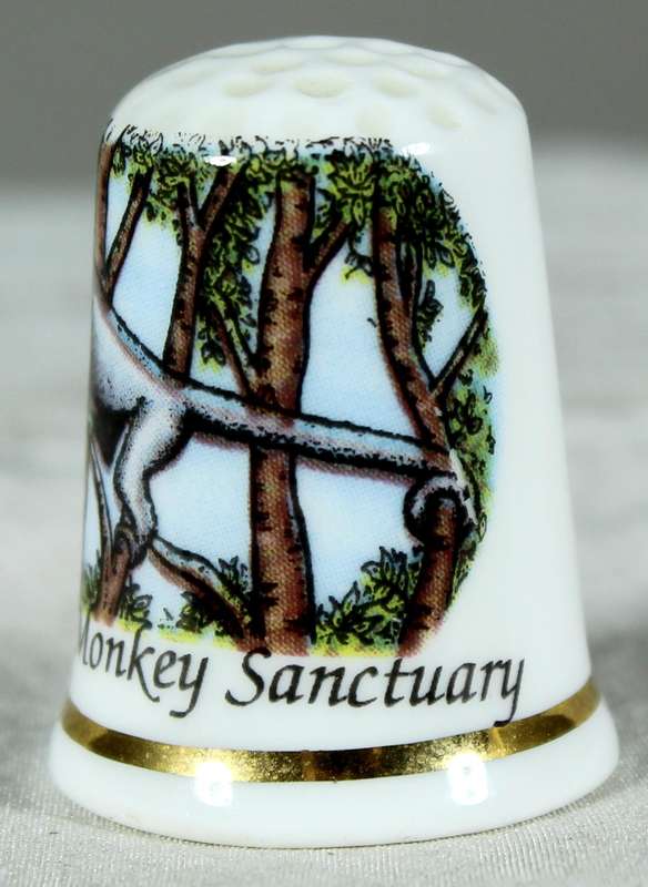 Bone China thimble - The Monkey Sanctuary - GW Potteries
