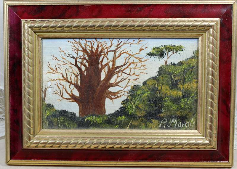 P Marais - Baobab tree