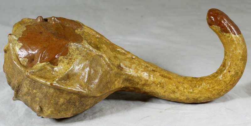 Calabash