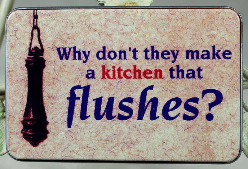 Fridge Magnet - Why don't they make a kitchen that flushes?