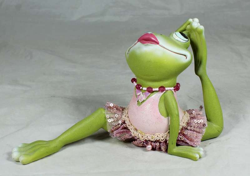 Dancing frog in a tutu