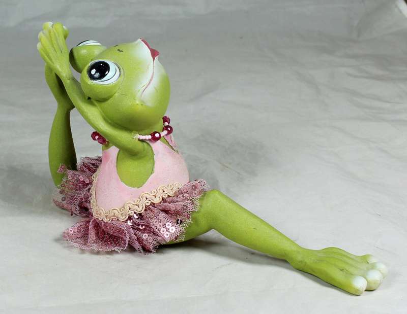 Dancing frog in a tutu