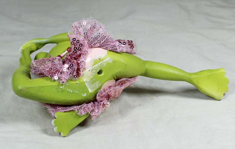 Dancing frog in a tutu