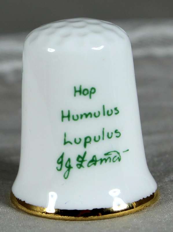 Bone China thimble - Hop Humulus Lupulus