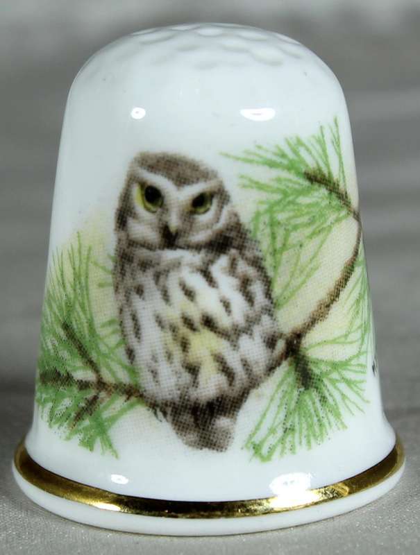 Bone China thimble - owl - Oakley China