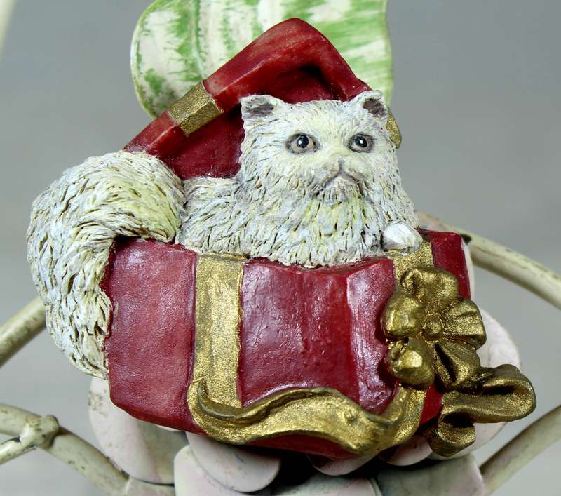 Fridge Magnet - Cat in a gift box