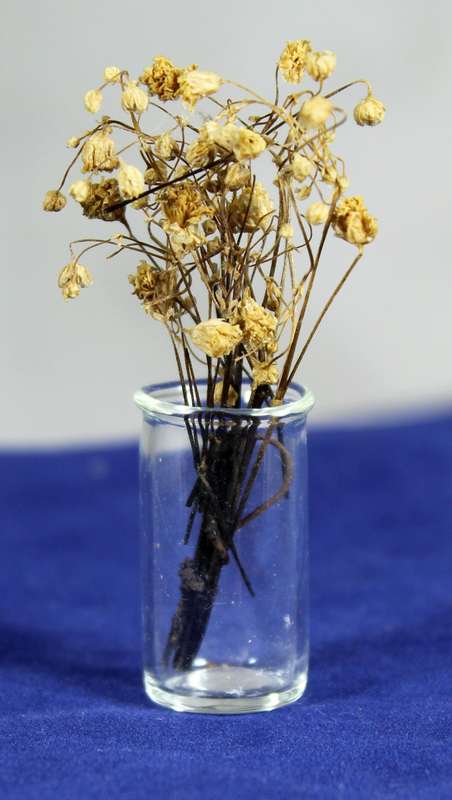 Miniature glass - Vase with flowers