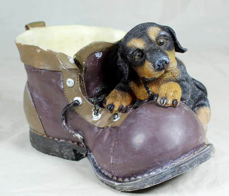 Puppy on a large boot