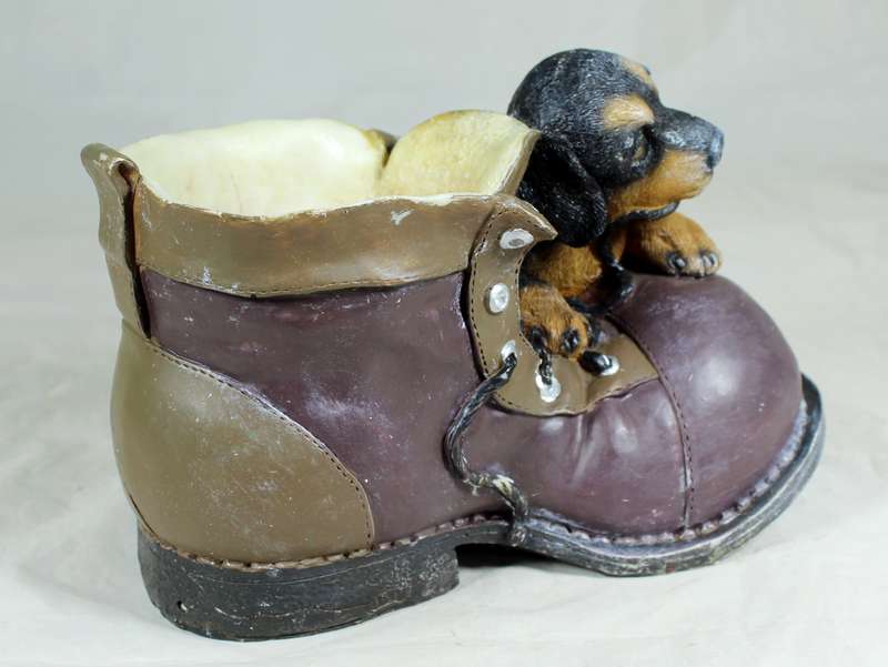 Puppy on a large boot