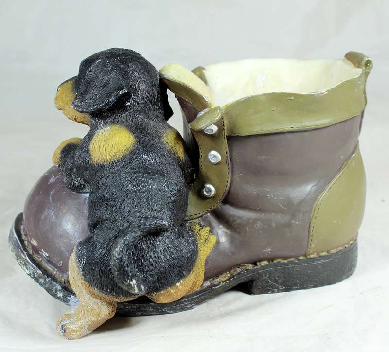 Puppy on a large boot