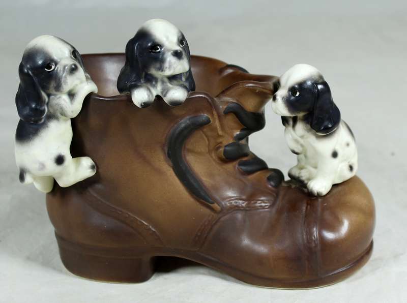 Three puppies on a shoe